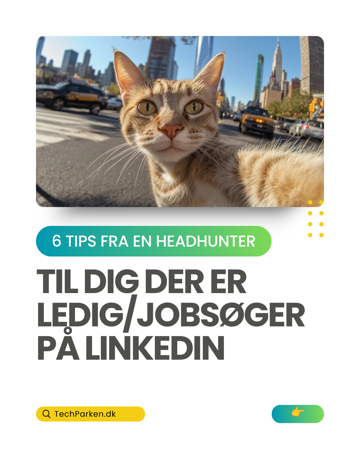 Tips til jobsøgende - slide 1